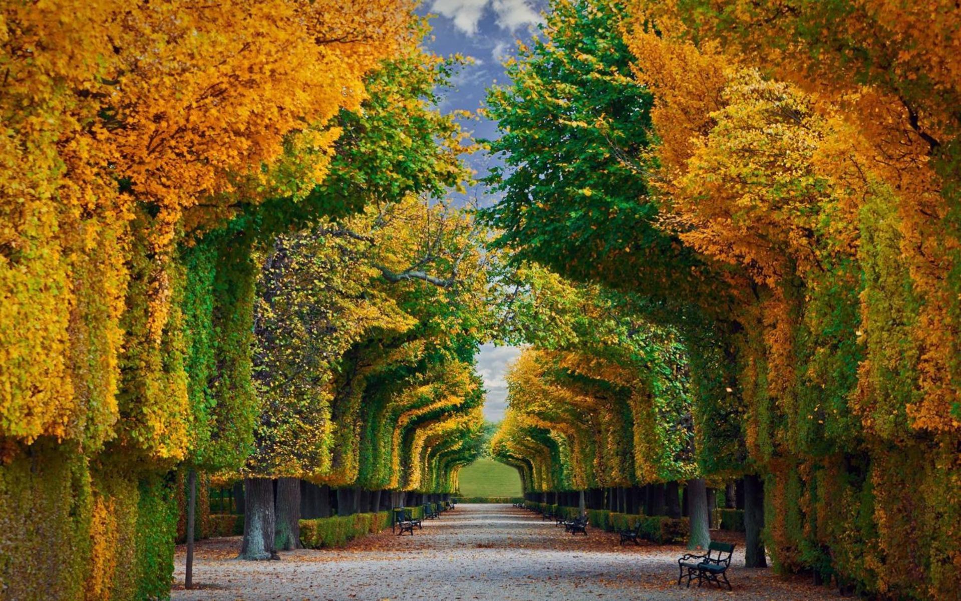 Imperial Schoenbrunn Stays 비엔나 외부 사진